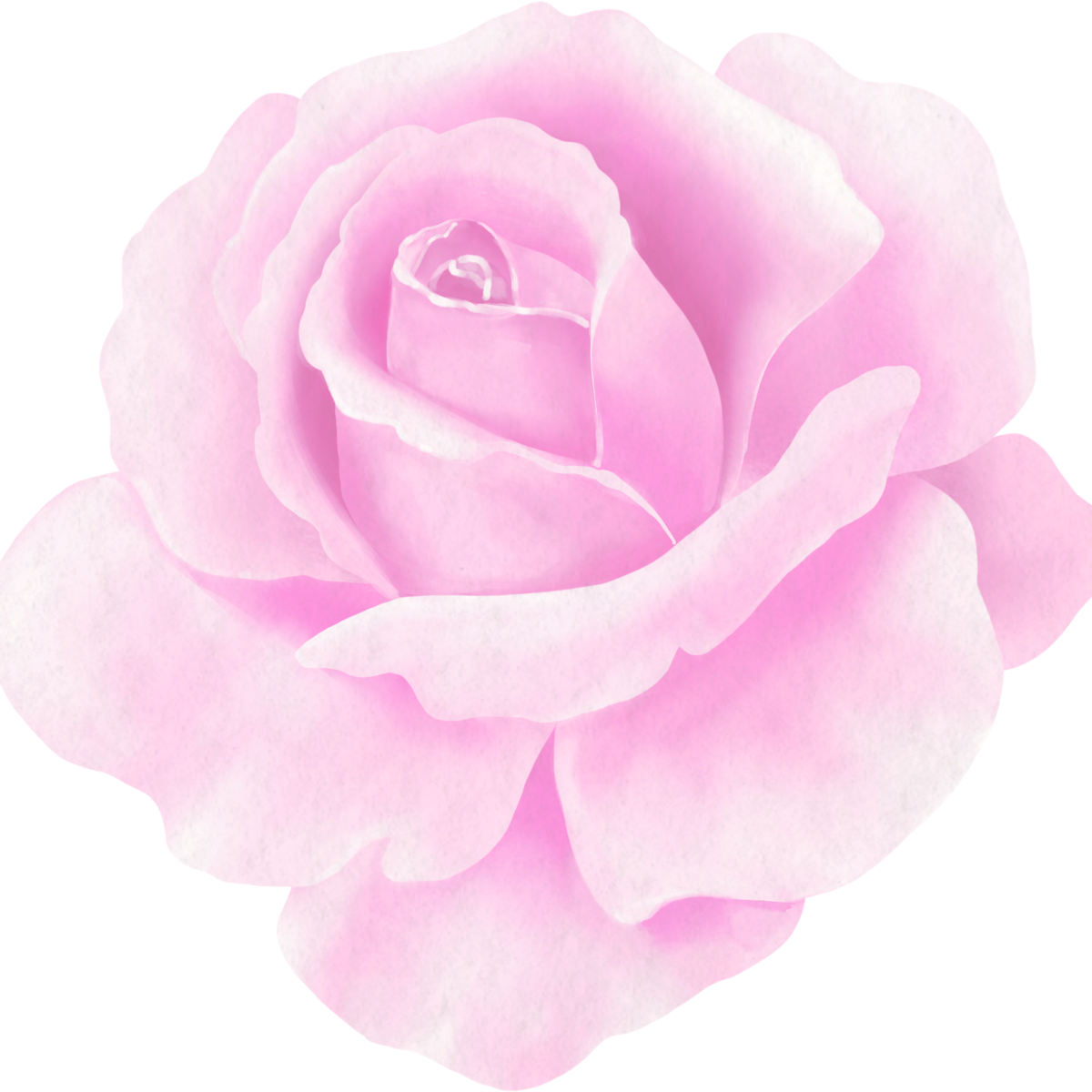 Undeniable Car Club Supporter